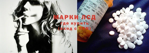 дживик Абинск