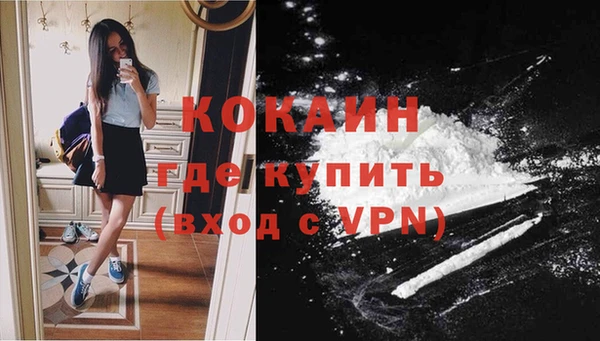 дживик Абинск